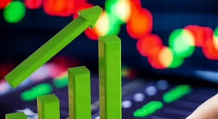 Ganfeng Lithium's H1 Loss: $800M from Failed Mining Deals