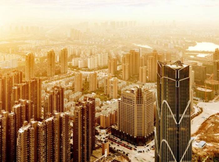 A Comprehensive Overview of the Capital Market